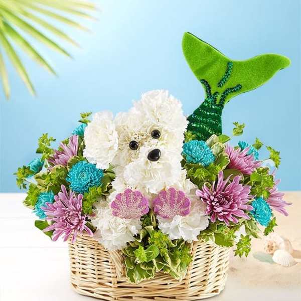 Flower basket arranged as a dog with white and purple blooms