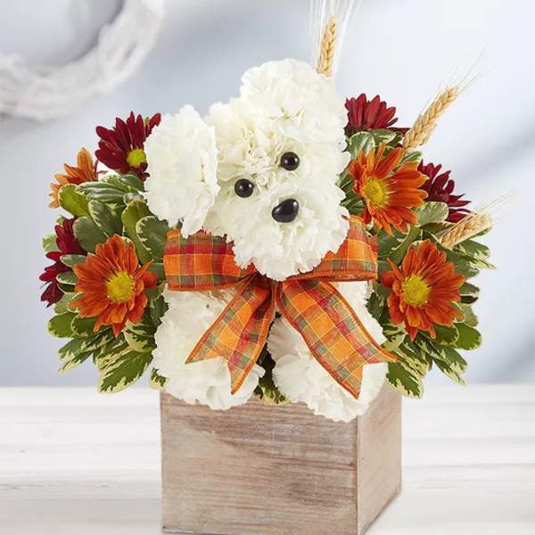 White floral dog arrangement with orange daisies and a plaid bow in a wooden box