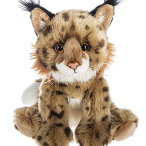 Bobcat