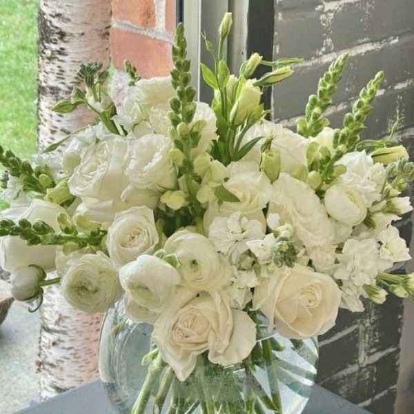 Pure elegance bowl.