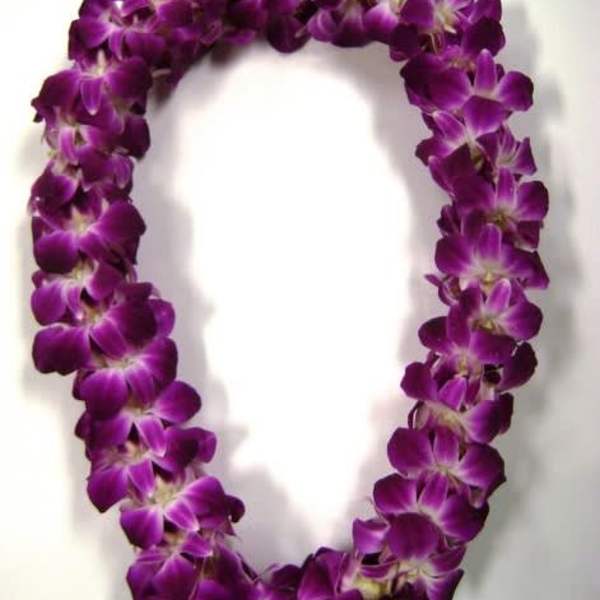 Purple orchid lei arranged in a loop on a white background