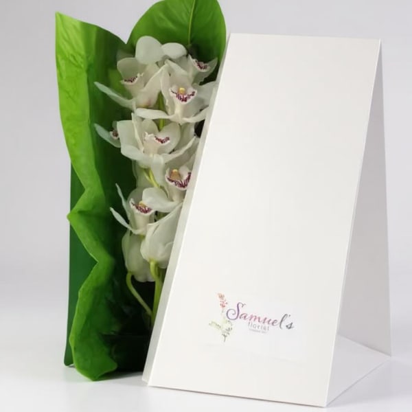 White orchids in green wrapping beside a white gift box