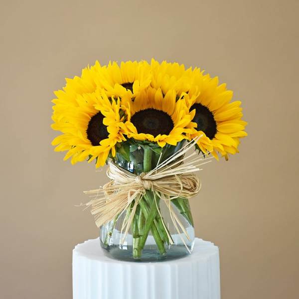 Sunflowers in a glass vase tied with raffia ribbon