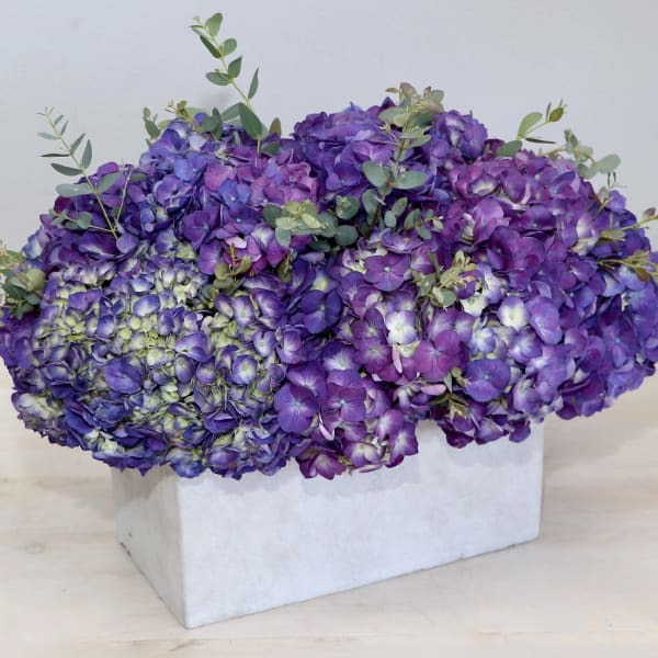 Purple hydrangea arrangement in a white rectangular box