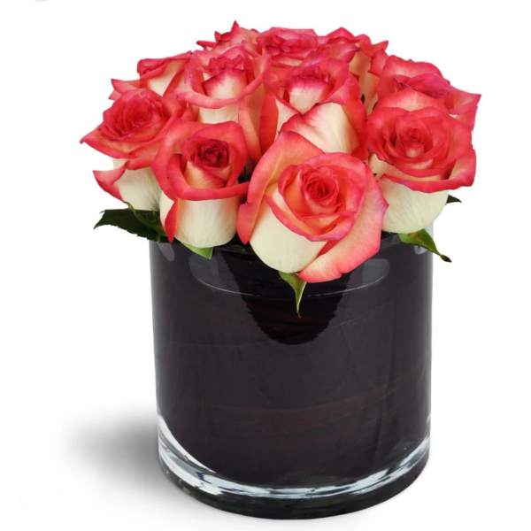 Pink and white roses arranged in a black glass vase
