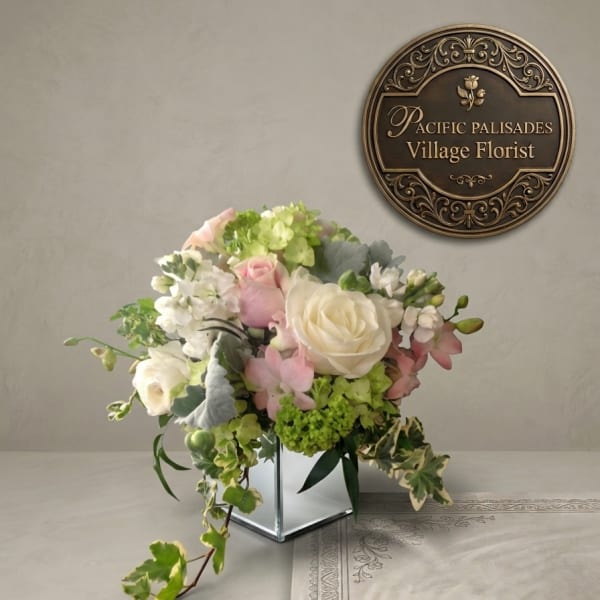 Princess Ivy