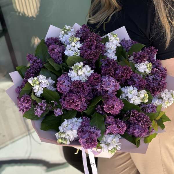Bouquet of purple and white lilac blooms wrapped in pale pink paper