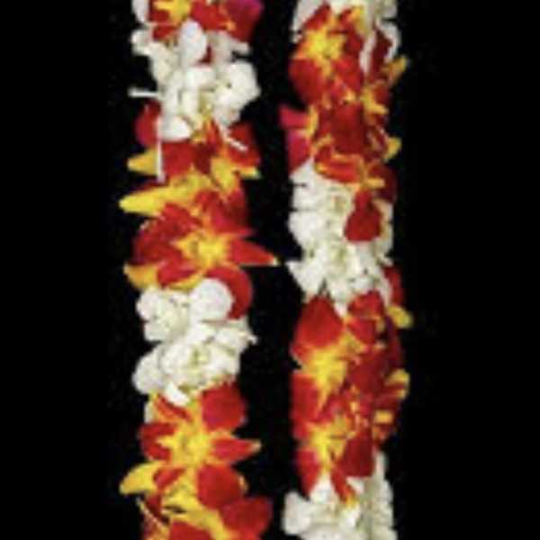 Red, white, and yellow flower lei on a black background