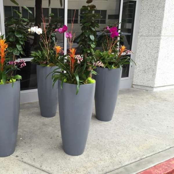 Tall orchid arrangements in gray planters outside a building entrance