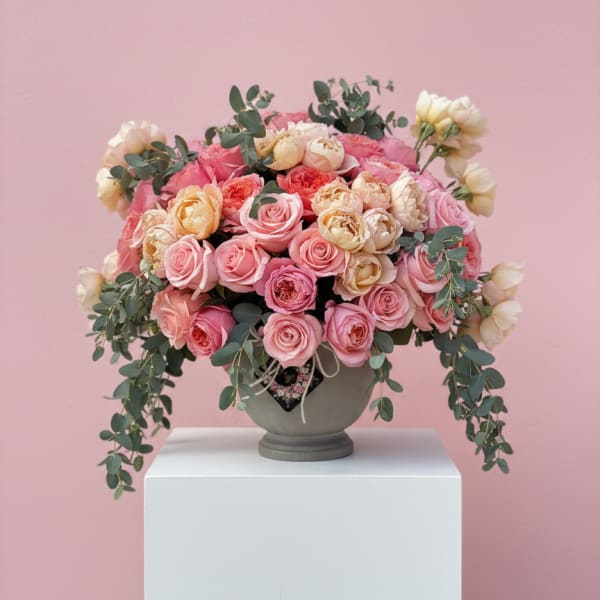 Blushing in Beverly