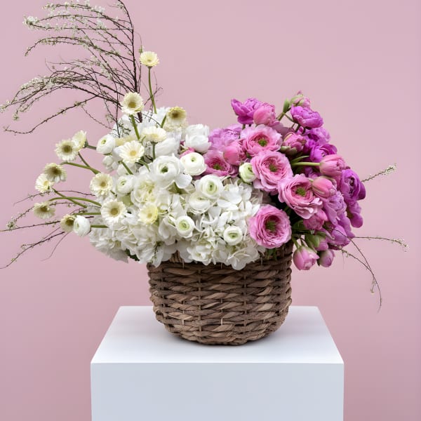 Harvest Luxe