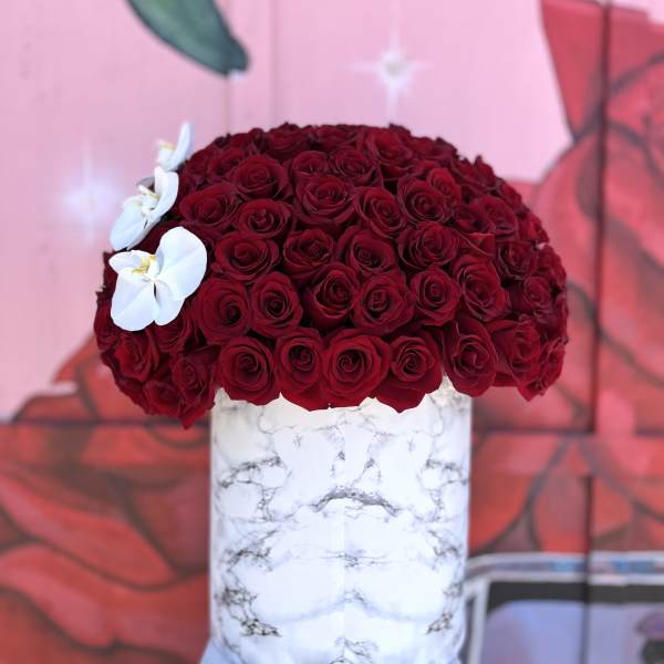100 Rose Orchid Kiss
