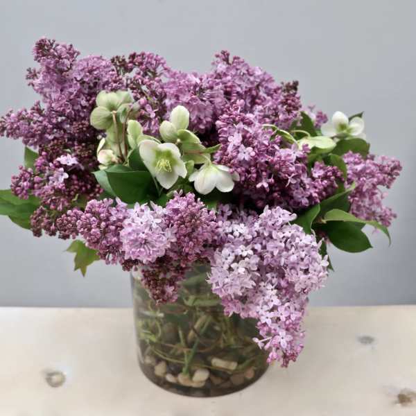 Lilac bouquet with white hellebore in a glass vase