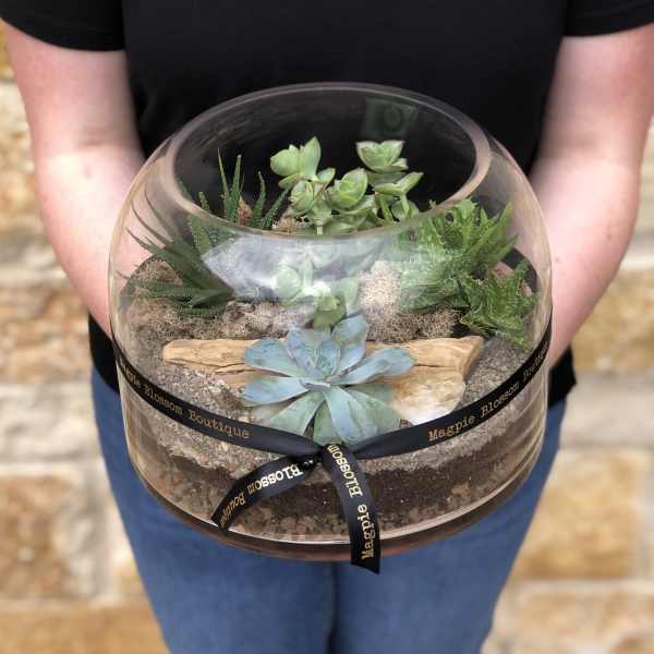 Rough Hollow Terrarium