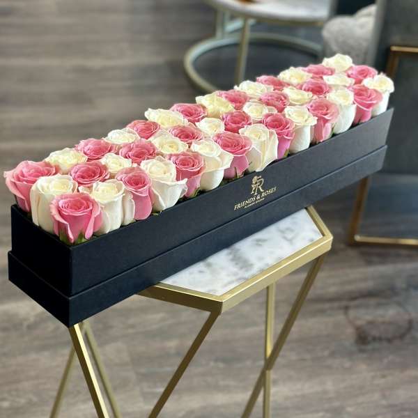 Sweet Rose