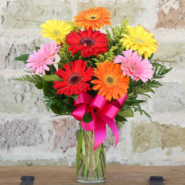 Colorful gerbera daisy bouquet in a glass vase with a pink ribbon