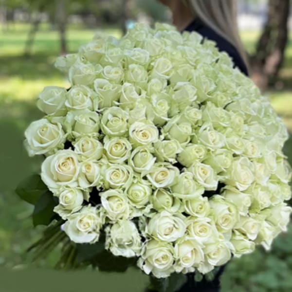 Large bouquet of white roses held outdoors