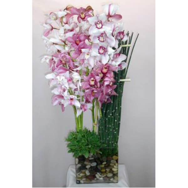 Tall arrangement of pink and white orchids in a glass vase