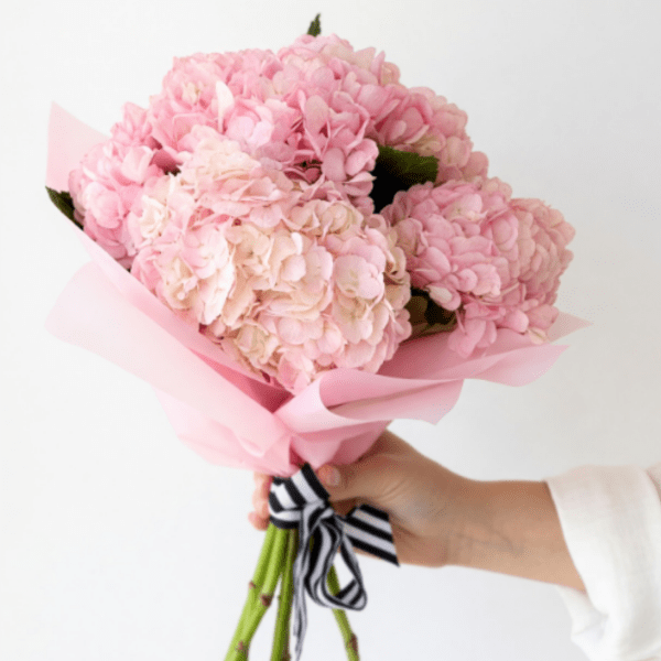 6 Lux Pink Hydrangeas Beautifully Wrapped Hand Tie