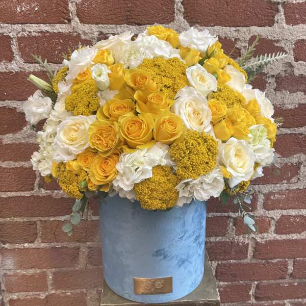 Round arrangement of yellow and white roses in a light blue velvet hatbox-style container