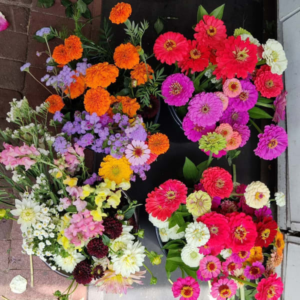 Assorted colorful flower bunches with zinnias and marigolds laid out on a dark surface