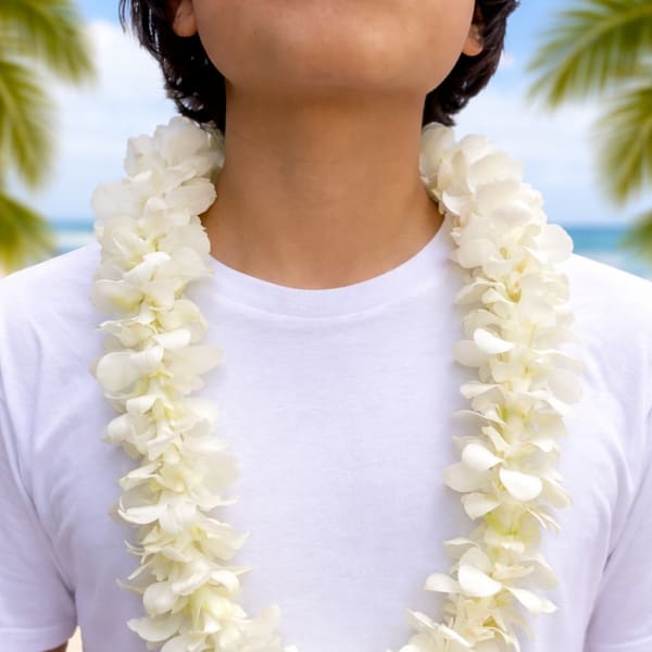 Orchid Elegance Lei