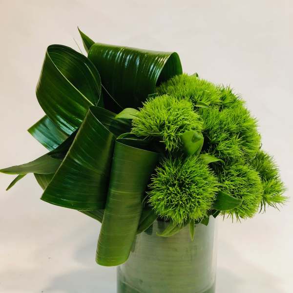 Green pompom flowers in a glass vase with large folded leaves