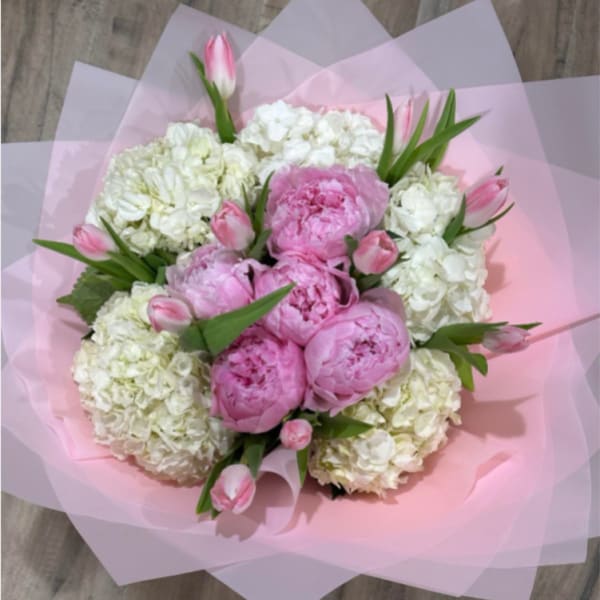 Peony Elegance
