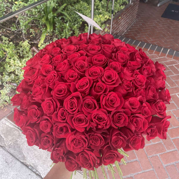 Large bouquet of red roses held outdoors