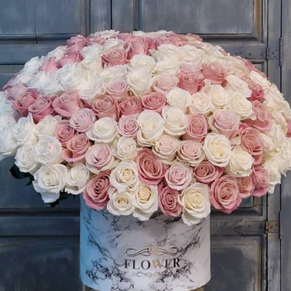 Large dome of pink and white roses in a marble-print box