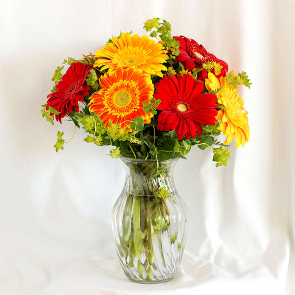 Bouquet of red, orange, and yellow gerbera daisies in a clear glass vase