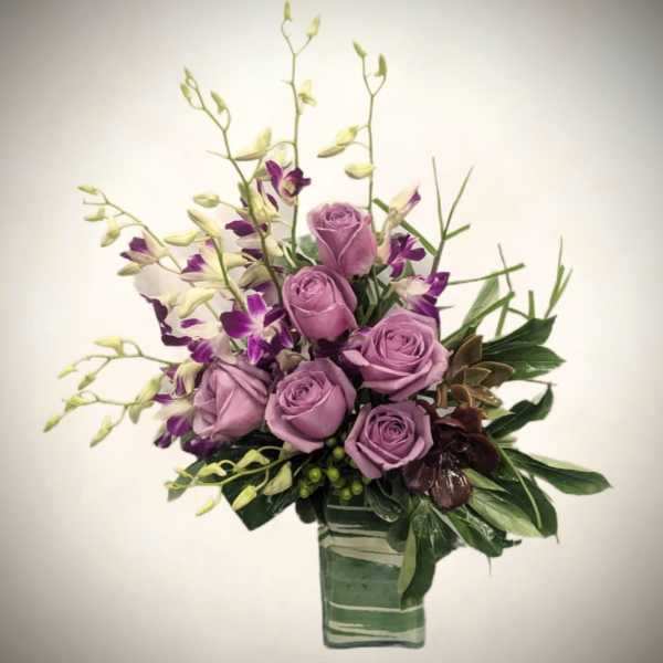 Lavender Serenity