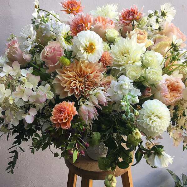The Dahlias are in Session Arrangement.