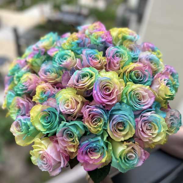 Rainbow mood