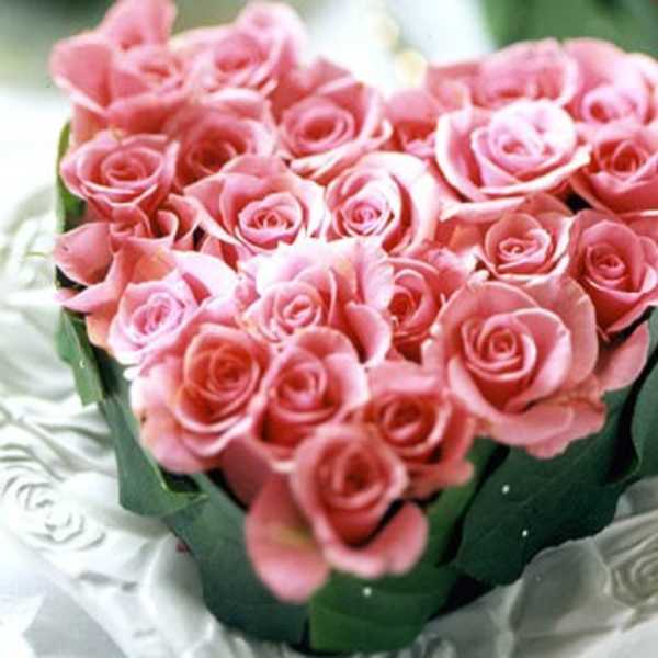 Bouquet of pink roses wrapped in dark green paper