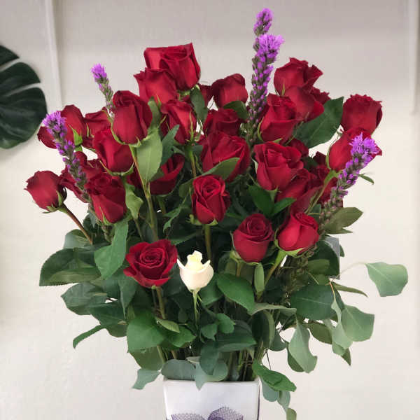 Bouquet of red roses in a white vase with a purple ribbon