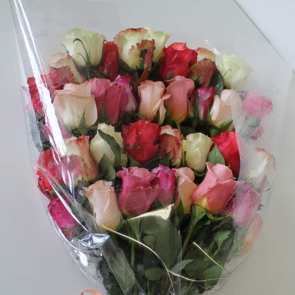 Large mixed-color rose bouquet wrapped in clear plastic with curling ribbons