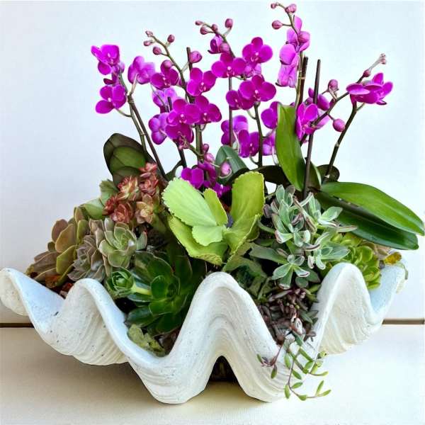 Purple orchids and assorted succulents in a white shell-shaped planter