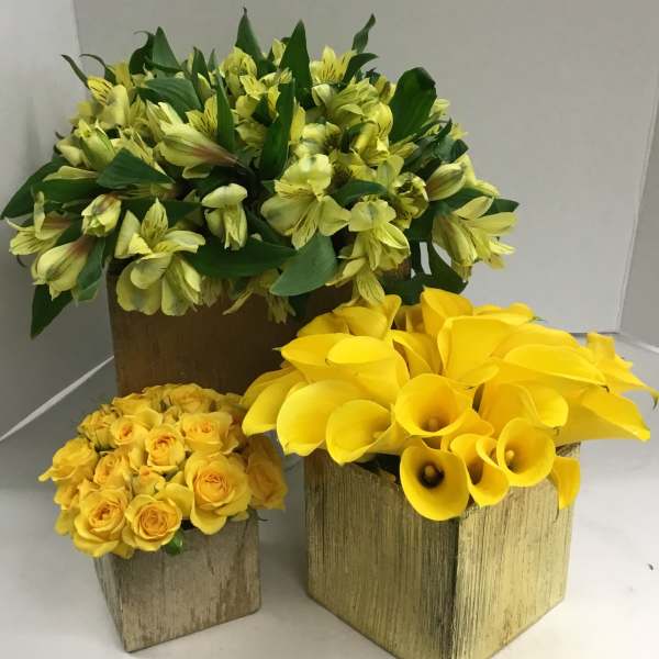 Three yellow floral arrangements in wooden boxes