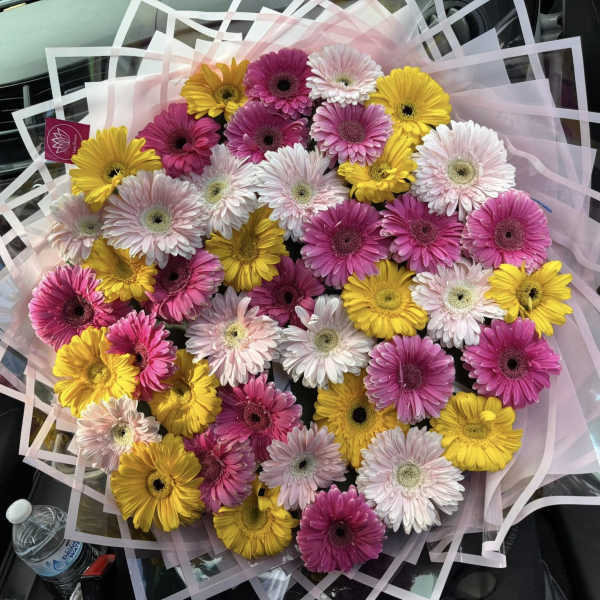 Bouquet of pink, white, and yellow gerbera daisies wrapped in pale pink paper