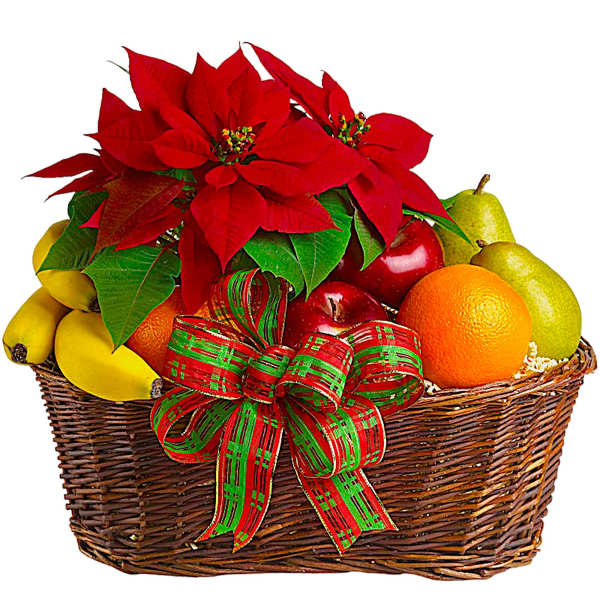Fruit basket with red poinsettias and a plaid ribbon