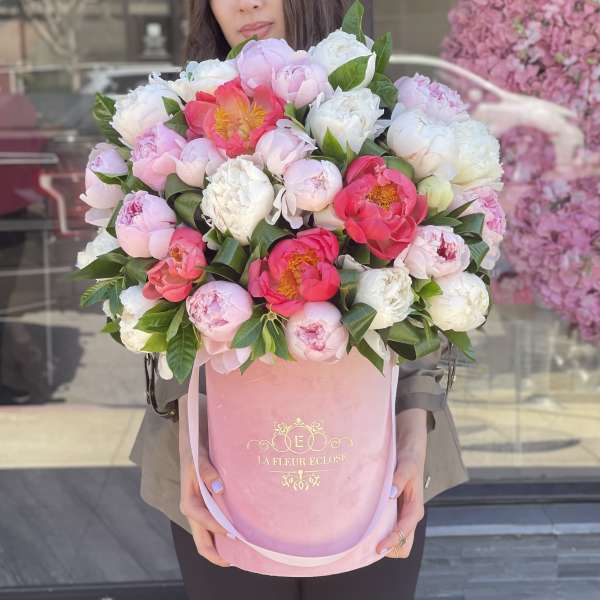 Pearlescent Peony V