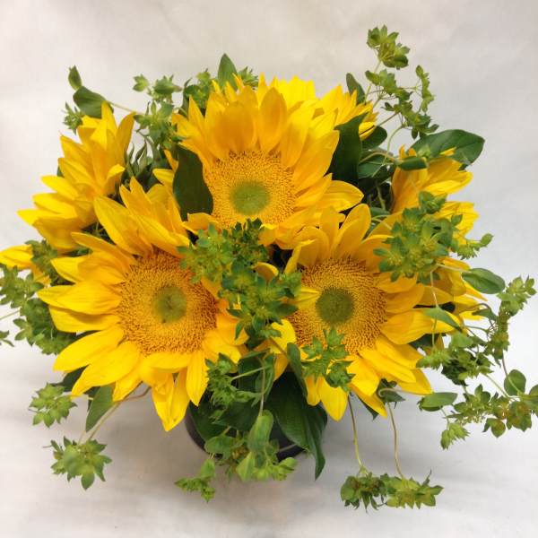 Bouquet of yellow sunflowers with green filler in a dark vase