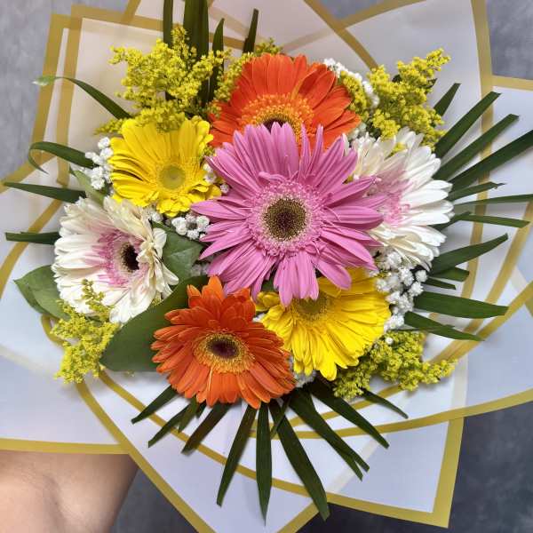 Bouquet of colorful gerbera daisies wrapped in white and gold paper