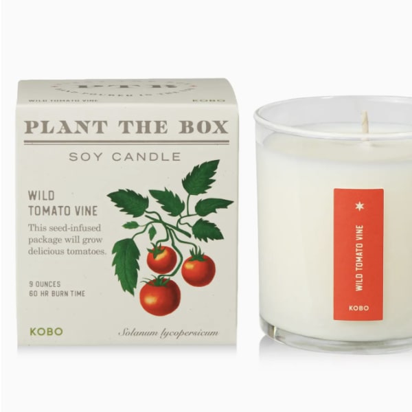 Wild Tomato Vine - Plant the Box Candle - 9oz.