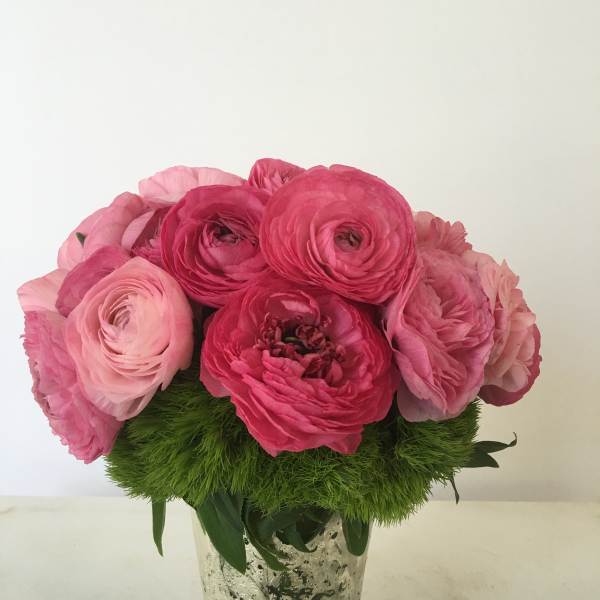 Pink ranunculus bouquet in a silver vase with green mossy filler