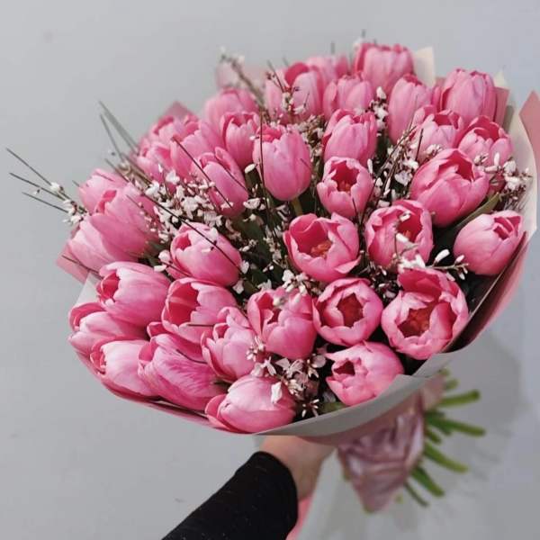 Bouquet of pink tulips with small white filler flowers