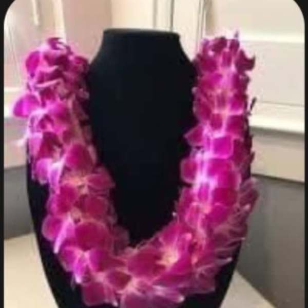 Leis