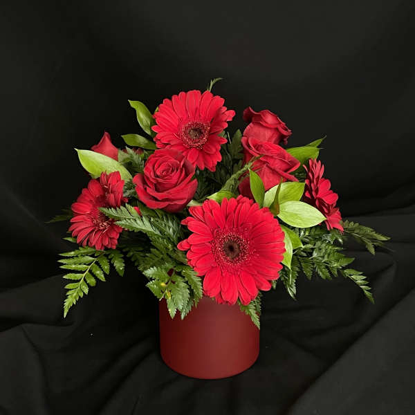 Red gerbera daisies and roses in a red vase