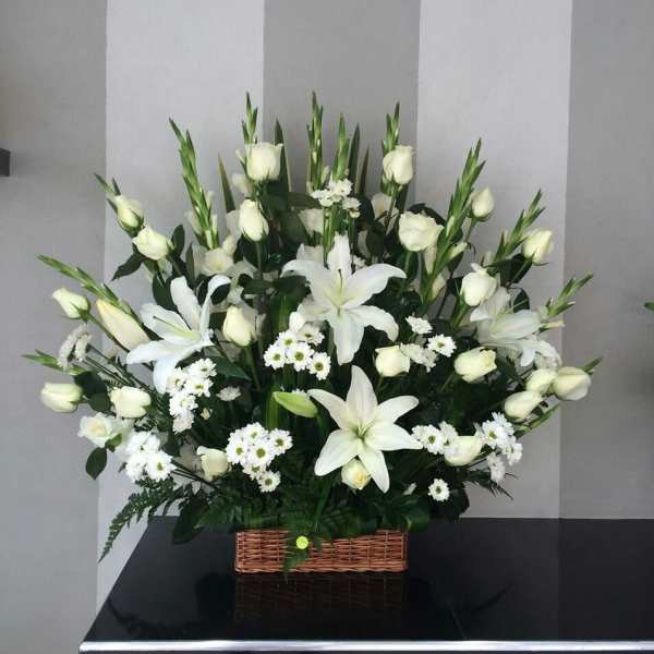 White serenity